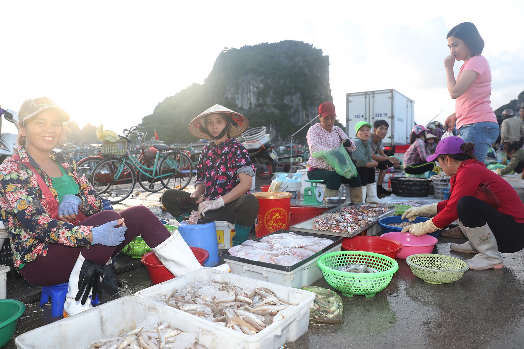 Chợ cá Cái Rồng sôi động từ sáng sớm, một trải nghiệm thú vị cho du khách khi tới Vân Đồn.