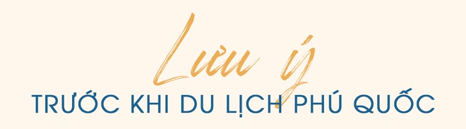 bài PR - Review PQUC - 22
