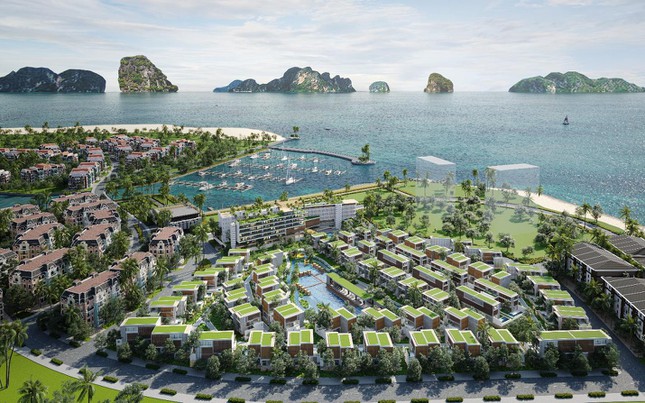 Bài PR SCHL - Tiềm năng phát triển của Halong Marina nhìn từ quy hoạch Hạ Long tầm nhìn 2050 - 4